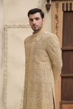 Sherwani (S 21 ) - Image 4