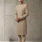 Elevate your wedding and festive wardrobe with this exquisite beige silk sherwani, meticulously crafted with intricate handcrafted zardozi embroidery.